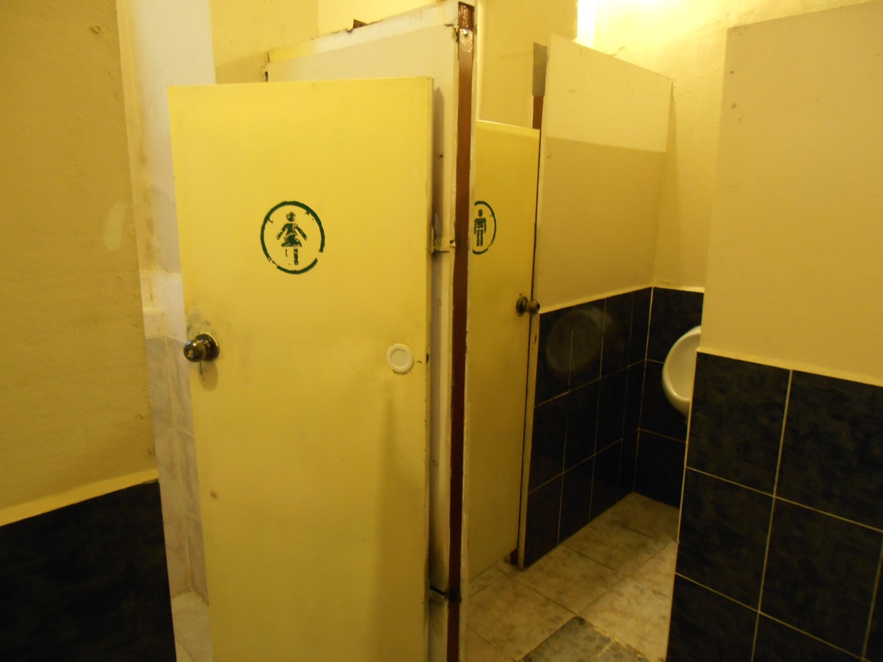Scheppkes in South America Ecuadorian Unisex Bathrooms