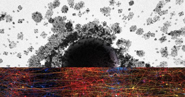 Così in cielo, così in terra: universo multidimensionale nel cervello umano | Scoperte scientifiche