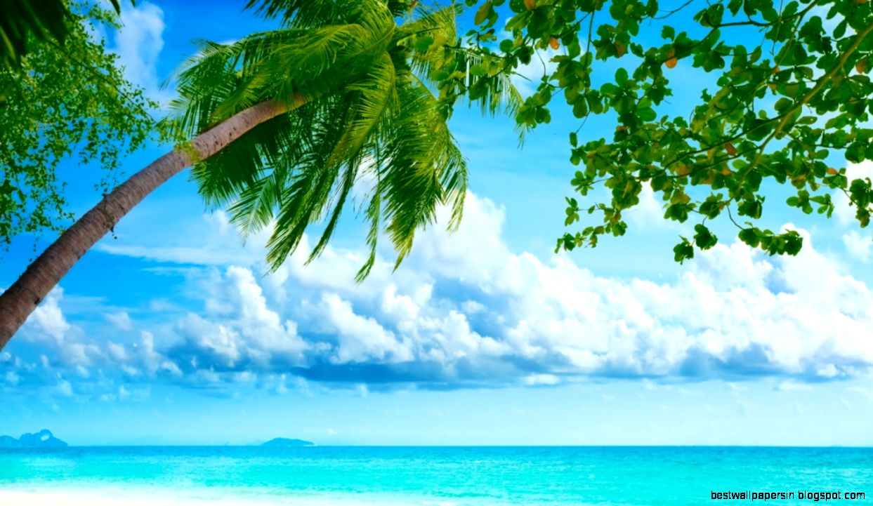 Summer Desktop Wallpapers 5