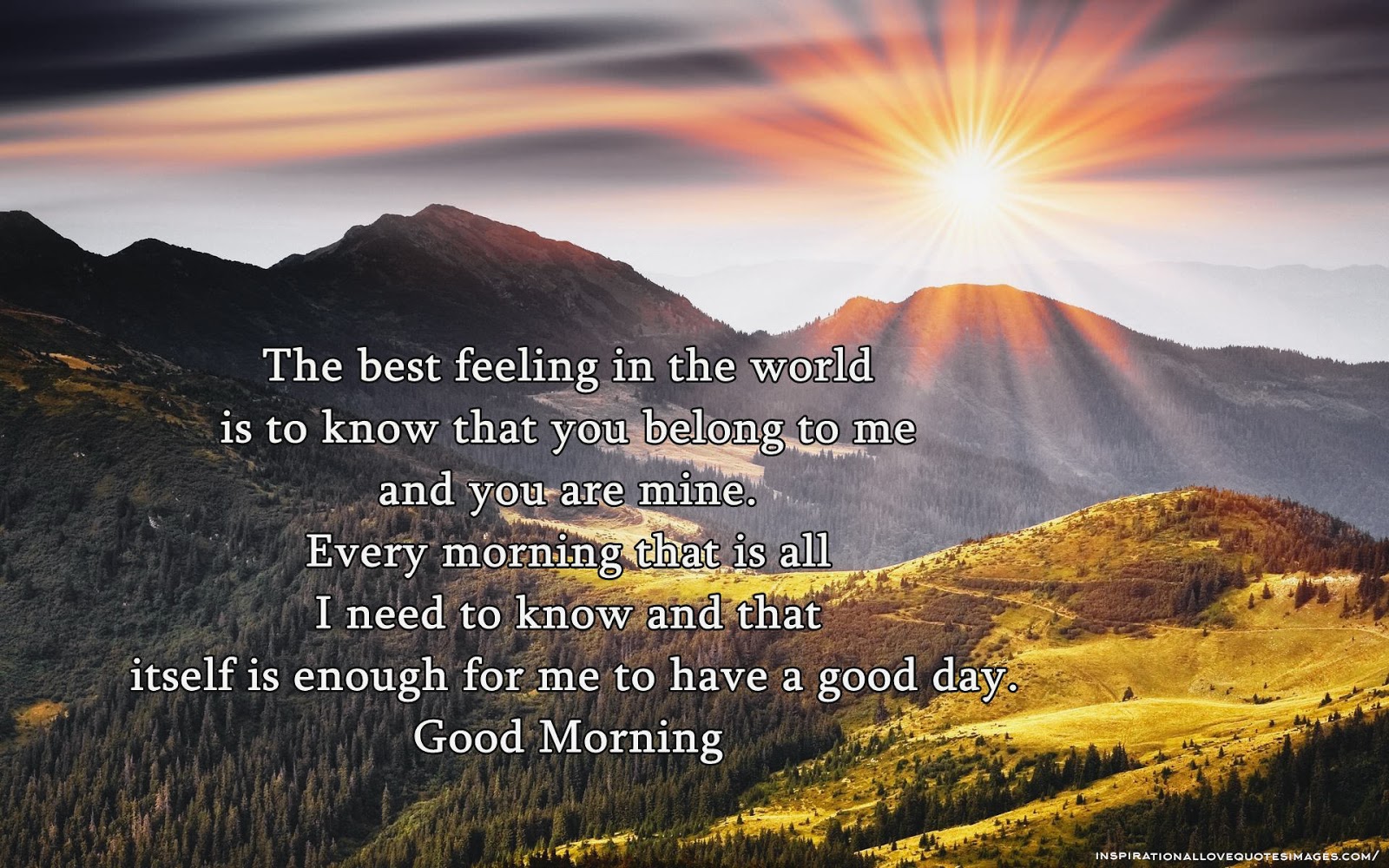 cute good morning sms the best feeling in the world is to know that you