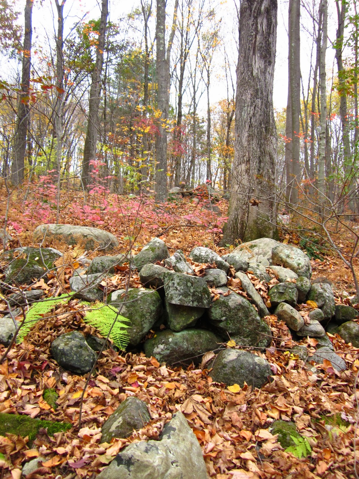 Rock Piles Quanopaug Trail Rock Pile