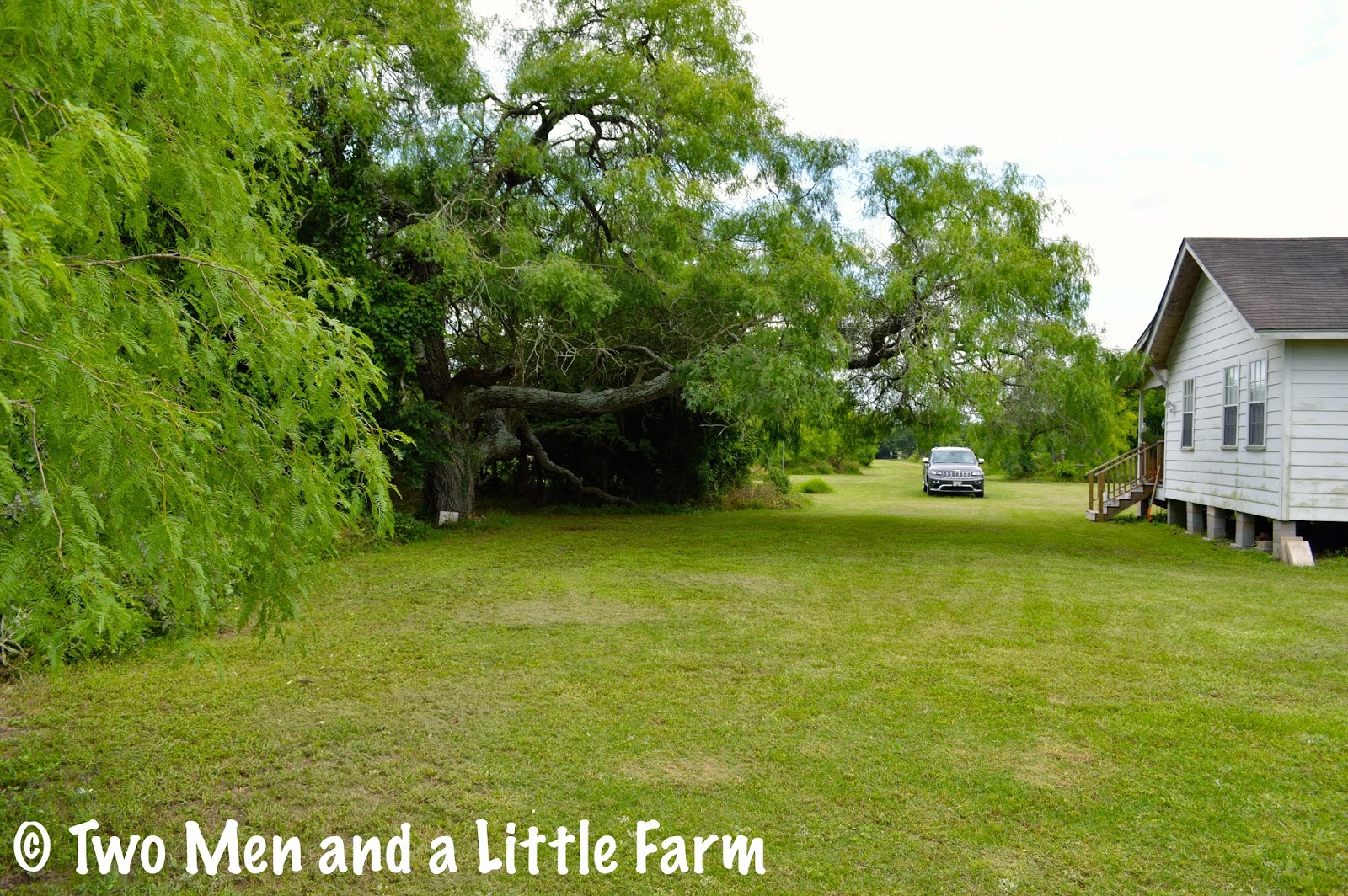 Two Men and a Little Farm RANDOM FARM PROPERTY PICTURES
