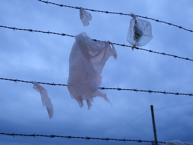 Sheets of clear plastic torn and suspended on barbed wire as light leaves sky in evening.