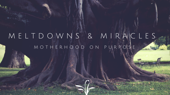 Meltdowns and Miracles: Motherhood on Purpose