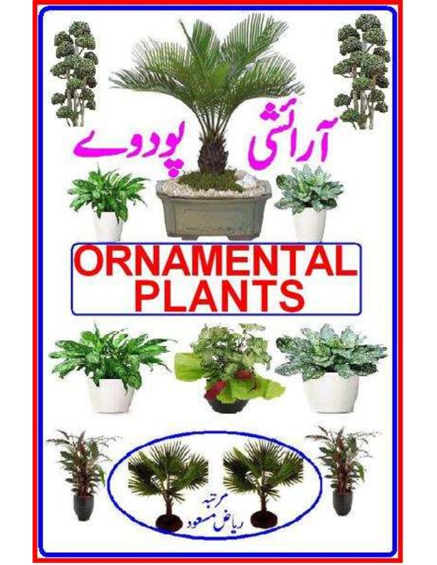 Ornamental Plants in Urdu By Riaz Masood Book Free