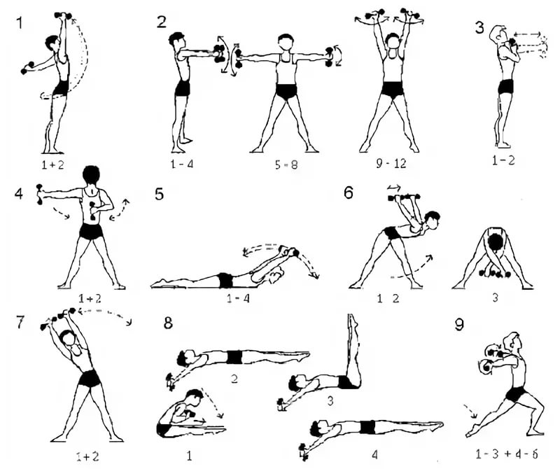 Уроки зарядка для начинающих. Комплекс упражнений с гантелями (10-12 упражнений). Комплекс общеразвивающих упражнений с гантелями 10-12 упражнений. Упражнения с гантелями для подростков. Комплекс упражнений с гантелями для мальчика 10 лет.