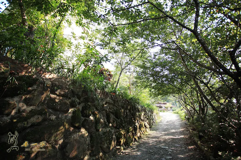 南投埔里民宿|佳園渡假山莊 環境
