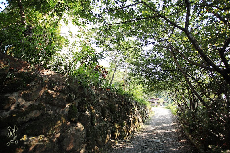 南投埔里民宿|佳園渡假山莊 環境