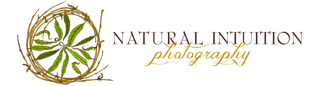 Natural Intuition Photography