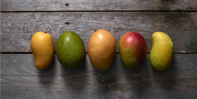 variedades de mango