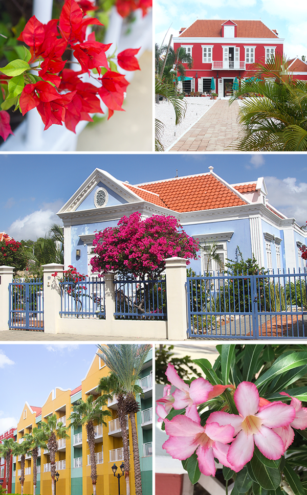 Willemstad Curacao, Curacao JetBlue, JetBlueSoFly