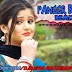 Paneer Bargi Ft.Anjali Raghav Remix By DJ Rahul Gautam