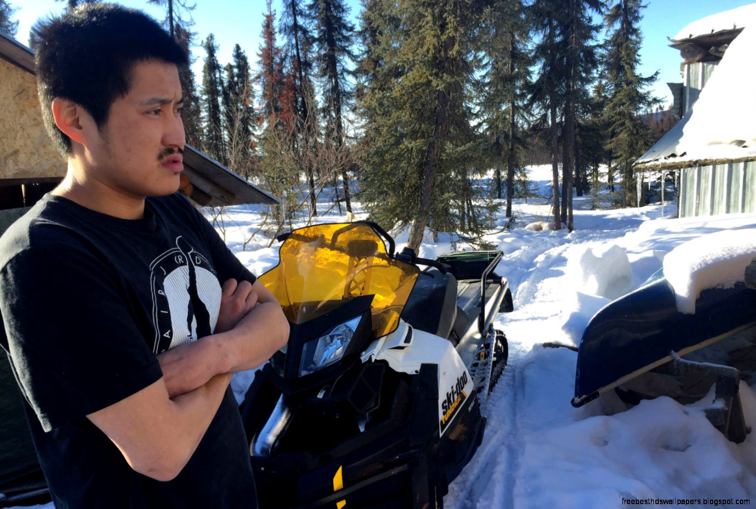 Man accused of killing sled dog with snowmobile at Alaskas