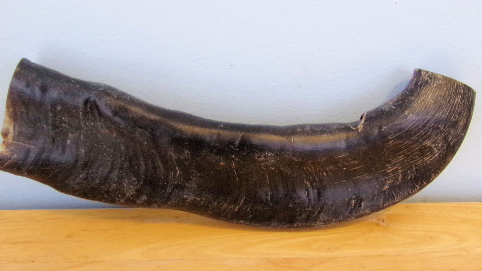 Dog Madness ONLY NATURAL PET BUFFALO HORN DOG CHEWS