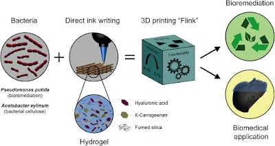Schematics of the 3D bacteria-printing platform for the creation of functional living materials