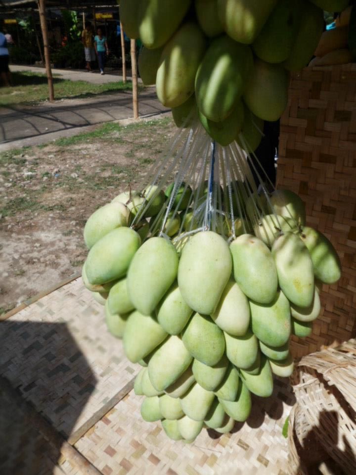 my getaway adventure Manggahan festival Guimaras Island and its