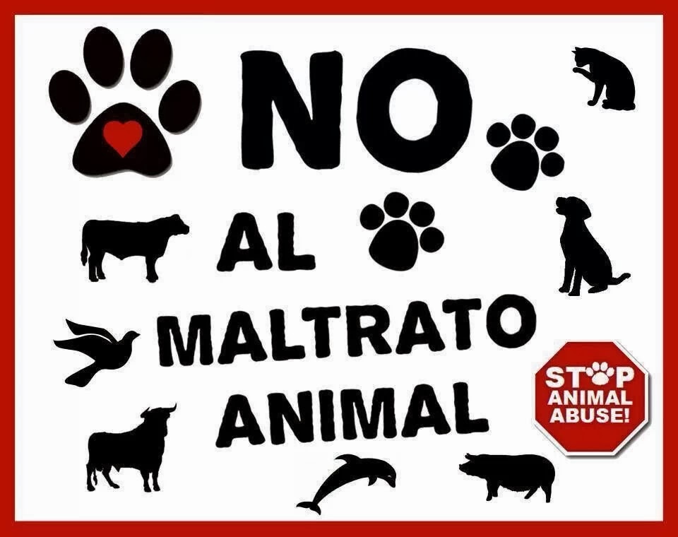 ESPINOSA DE LOS MONTEROS, ABOGADOS CONTRA EL MALTRATO ANIMAL ESPINOSA DE LOS MONTEROS, ABOGADOS CONTRA EL MALTRATO ANIMAL