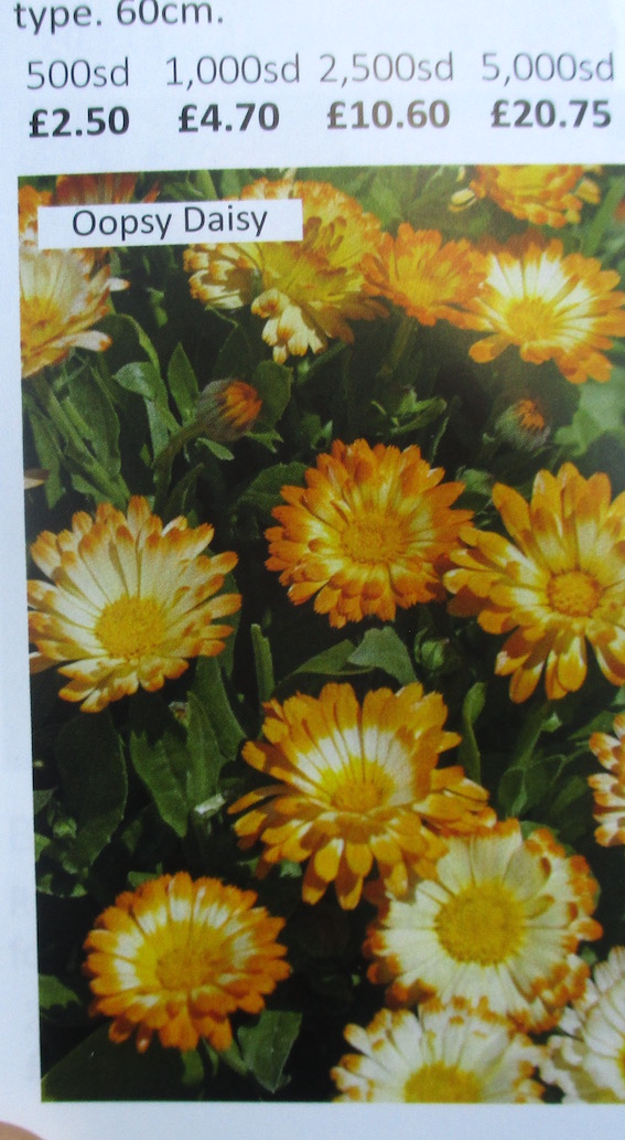 Roger Brook the no dig gardener Mighty Mole Seeds