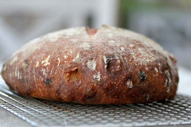 Sourdough bread with walnuts and raisins