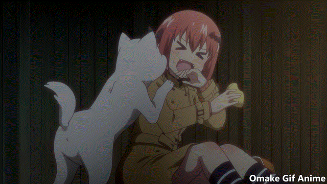 Animedog GIFs  Get the best GIF on GIPHY
