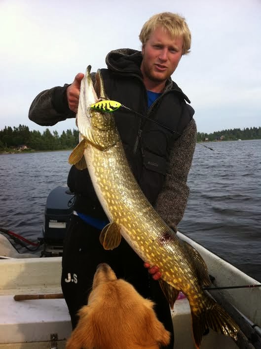 Välkommen till Obbola fiskeklubb: Bilder - största fisken 2013