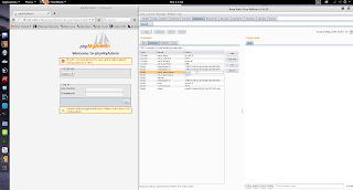 www bacterias mx Backtrack%2BAcademy%2B %2BCurso%2BAn%25C3%25A1lisis%2Bde%2BVulnerabilidades%2B%25286%2529