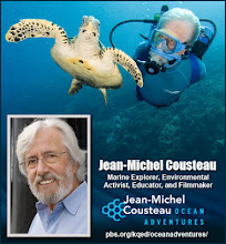 Ocean futures org.  -  Jean - Michel Cousteau