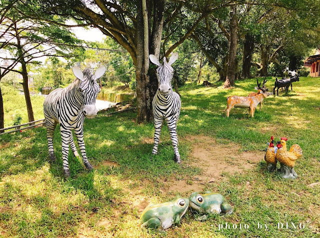 【台南玉井】加利利漂流木方舟教堂，被森林圍繞的仙境