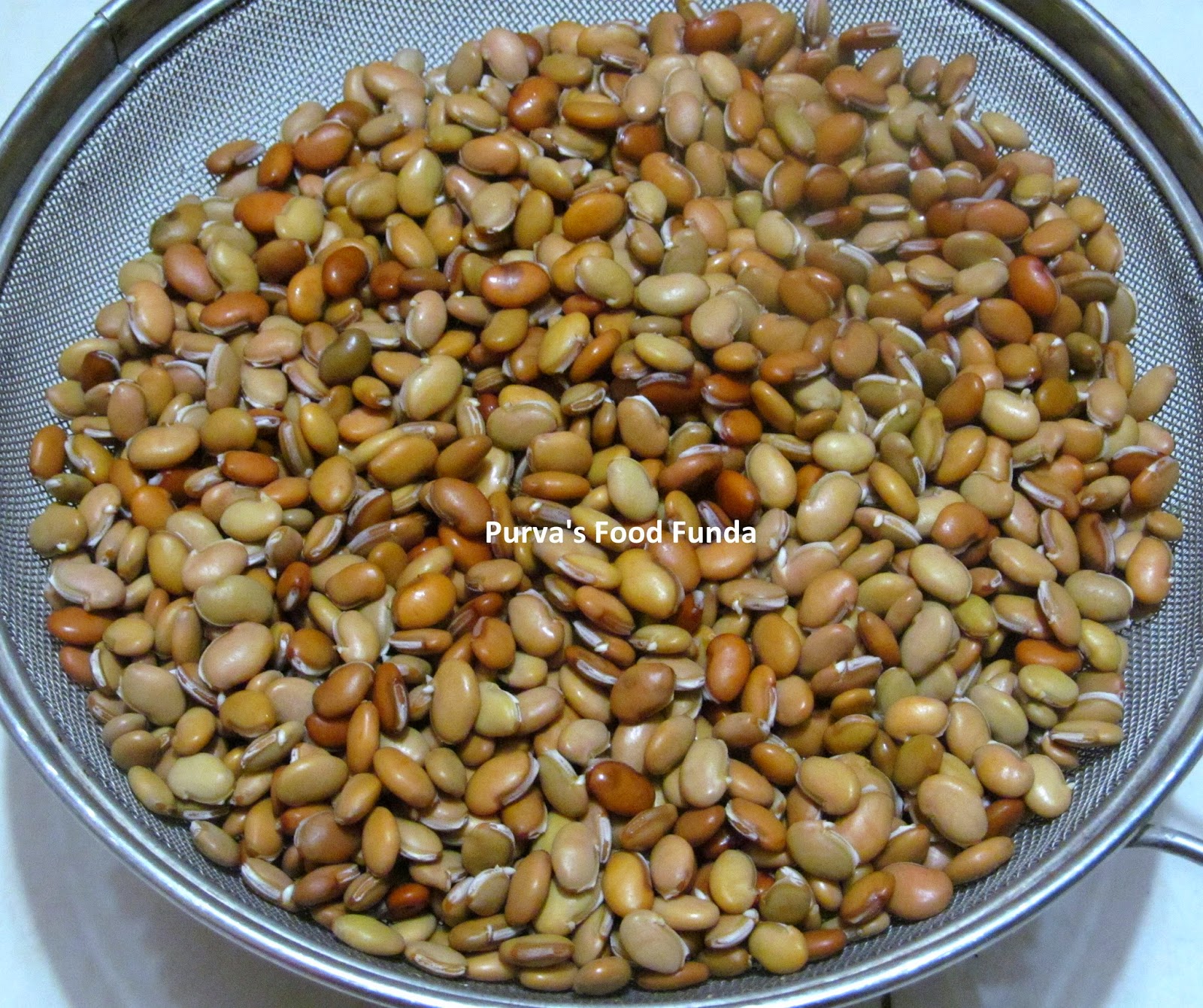 Food Funda What is Val (Field) Beans? and How to Sprout Val (Field) Beans?