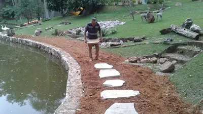 Bizzarri trabalhando, iniciando o caminho de pedra em volta do lago, sendo caminho com pedra cacão de São Tomé com junta de grama e no lago os muros de pedra moledo.