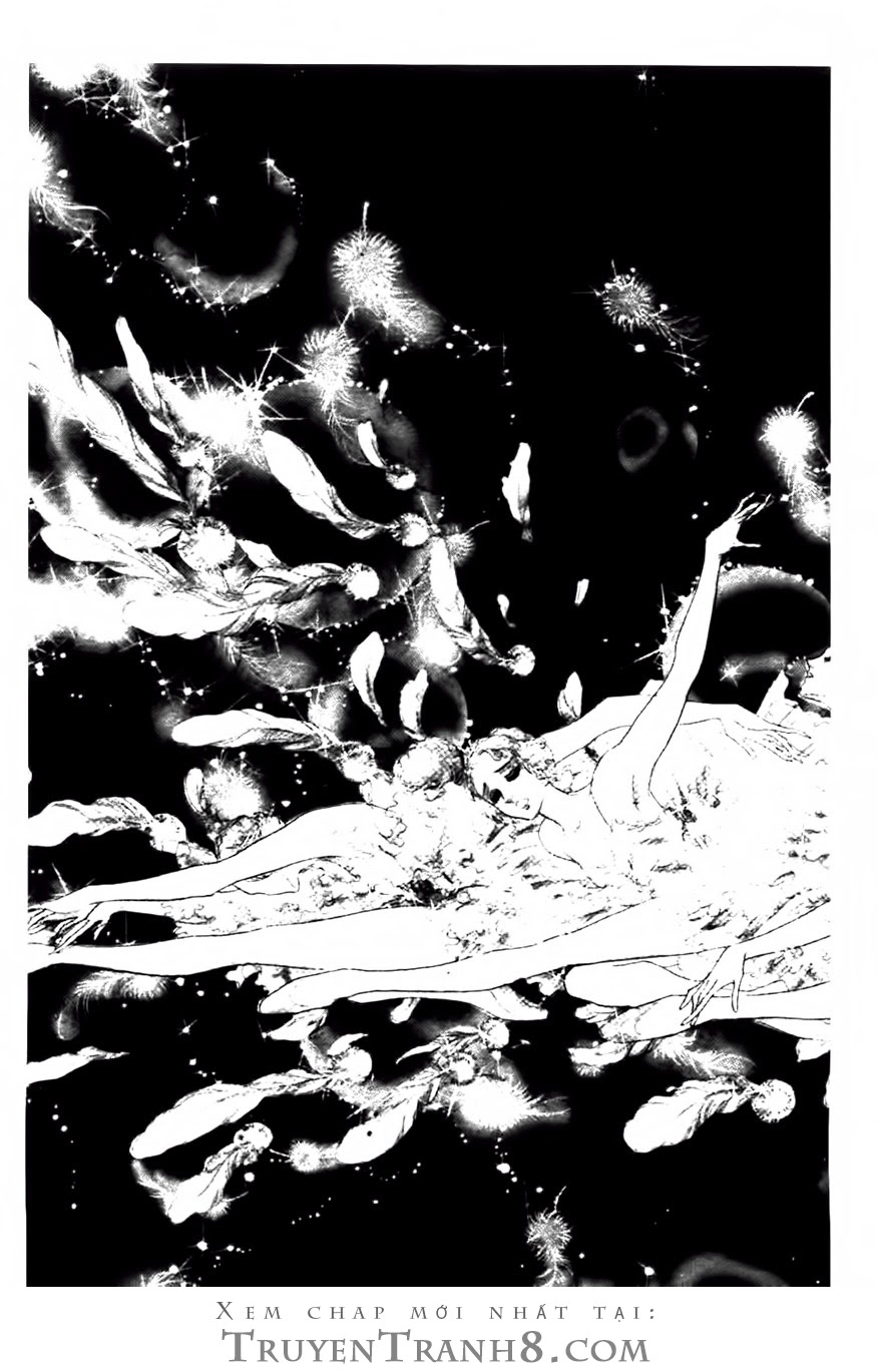 Swan - Vũ Khúc Thiên Nga Chap 84 - Next Chap 85