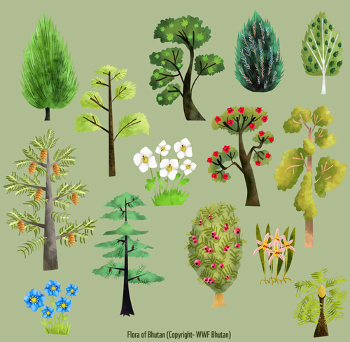 Garden Of Aaron The Best Groundcovers For Tennessee So Far