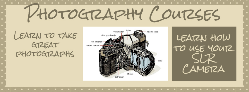 suzanne-kentish-photography-take-better-photos-gift-voucher