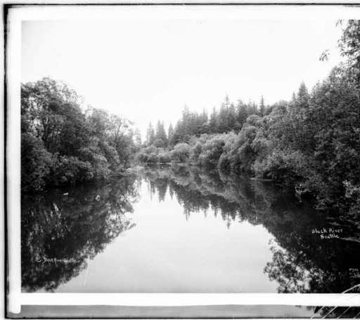 Ubna Union Bay Natural Area, ENVIR 280 Journal: Self Guided Tour ...