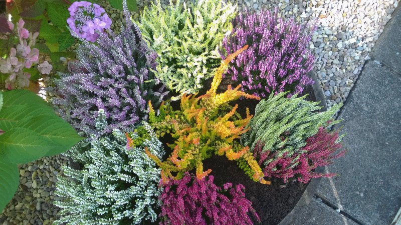 Https Encrypted Tbn0 Gstatic Com Images Q Tbn 3aand9gcqexmkqtme7ow8wsvcb5v9zlwelo Ssbgd Xw Usqp Cau