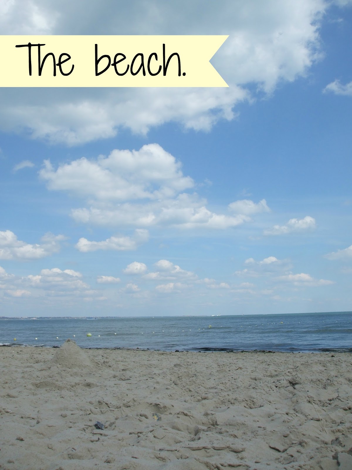 studland bay coursework studland bay coursework