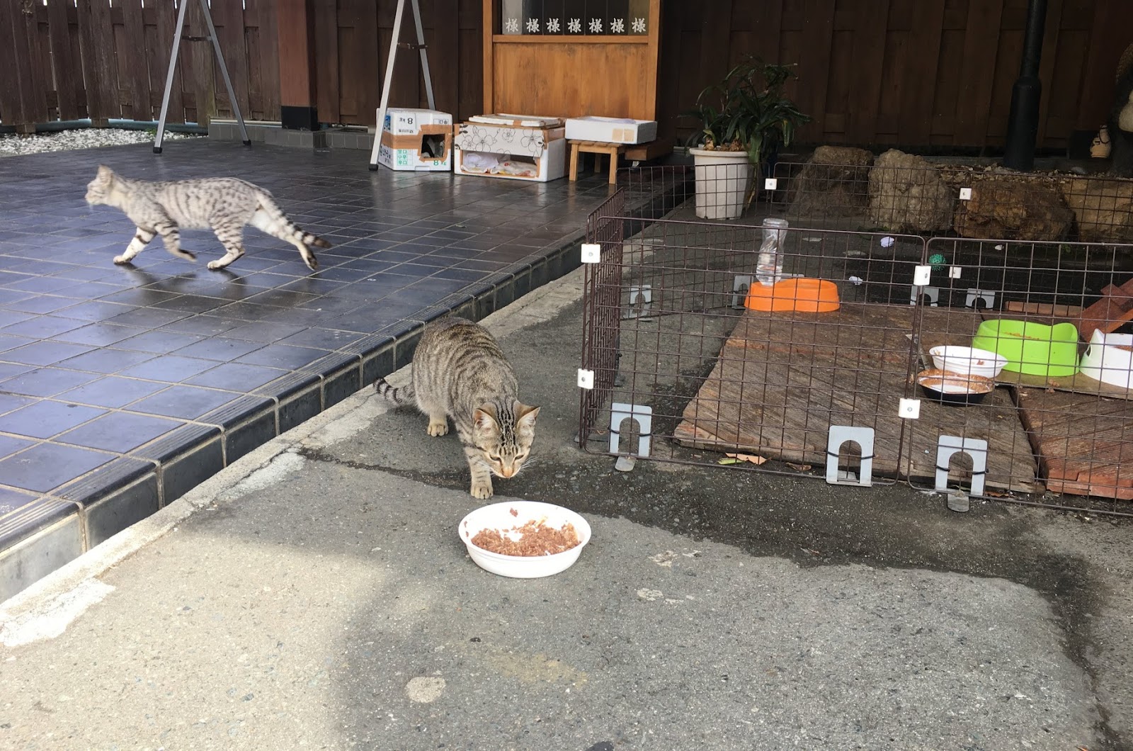 \u6e29\/\u6cc9\/\u9031\/\u8a18: 2\u6708 2018