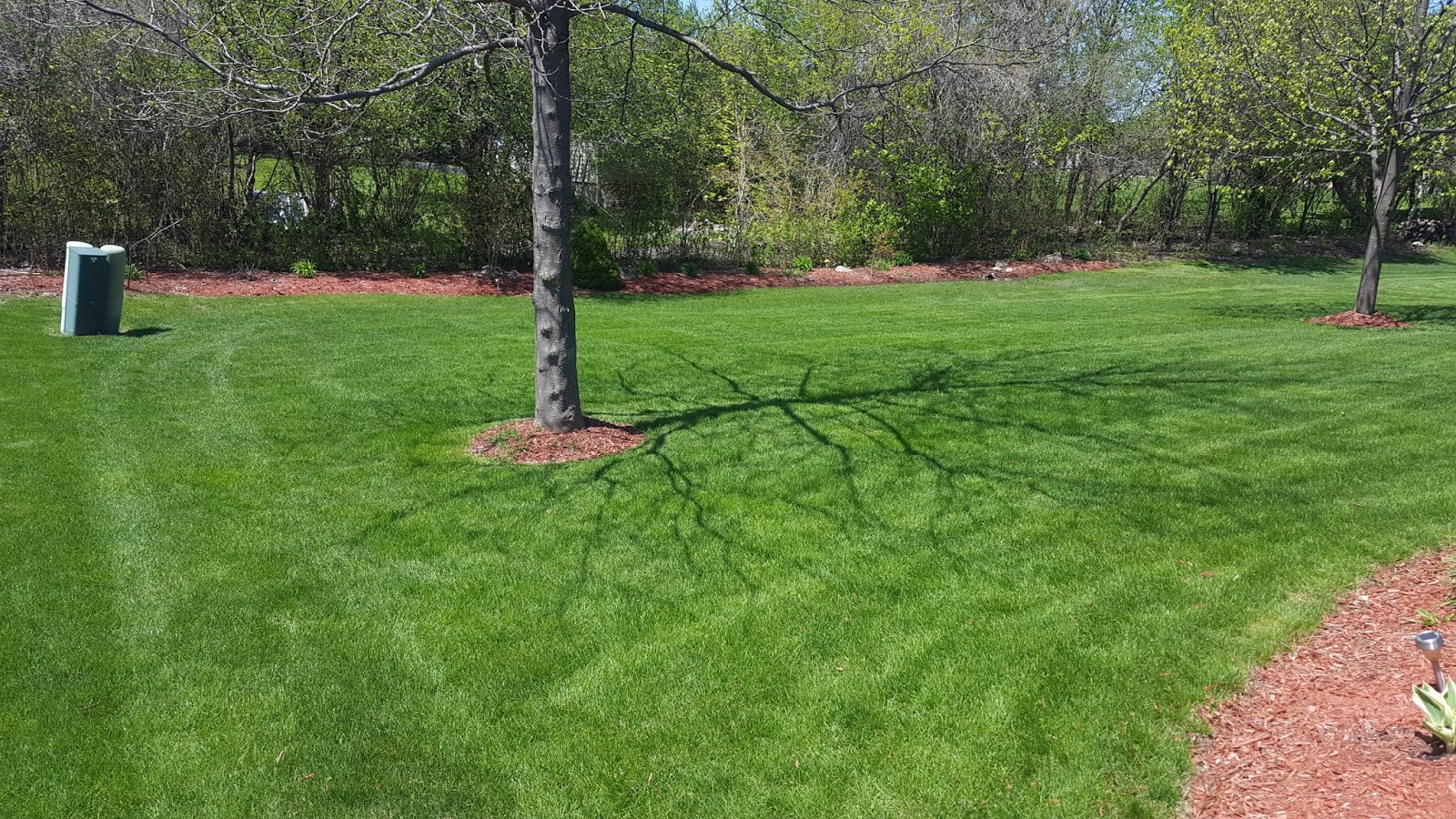 Lawn*Doctor Lawn Care Insights How much does lawn care cost for my property?