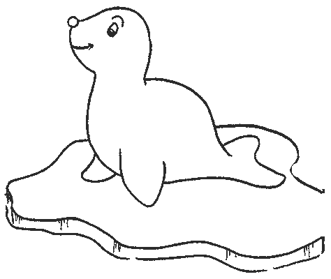 Mi colección de dibujos: Focas
