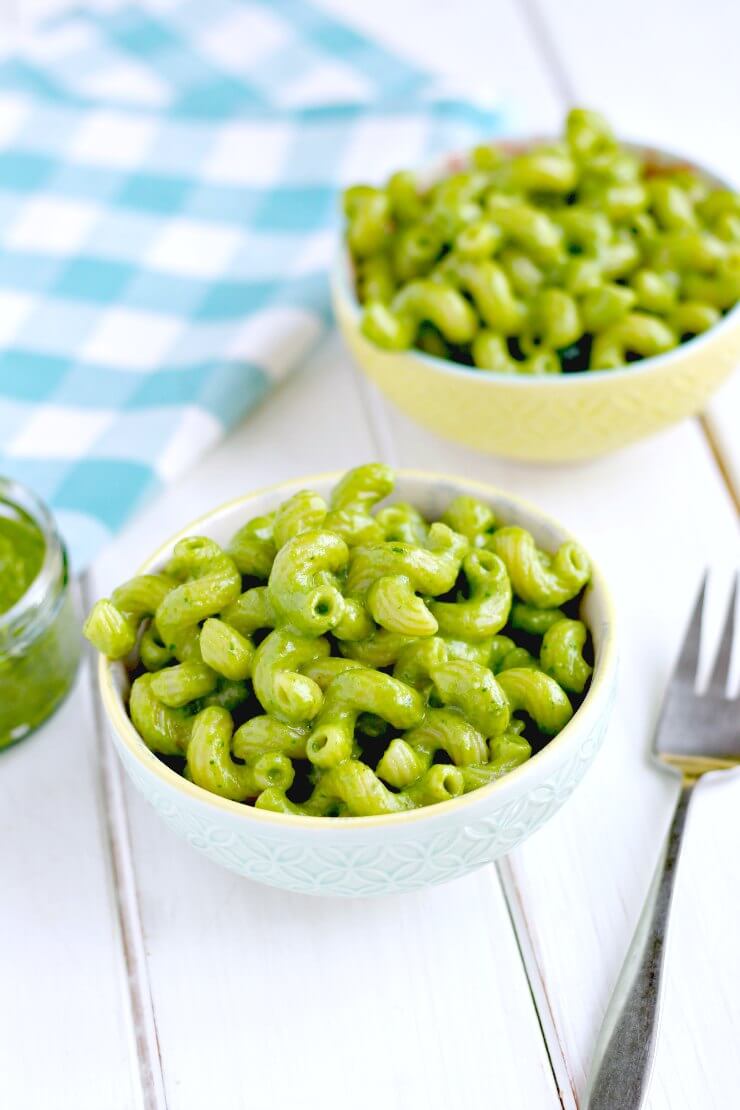 Kale Pesto in the Optimum Vac2 Air Vacuum Blender A Cornish Food Blog