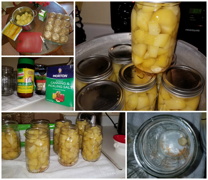 Texas Kirkwoods Canning Yukon Gold Potatoes