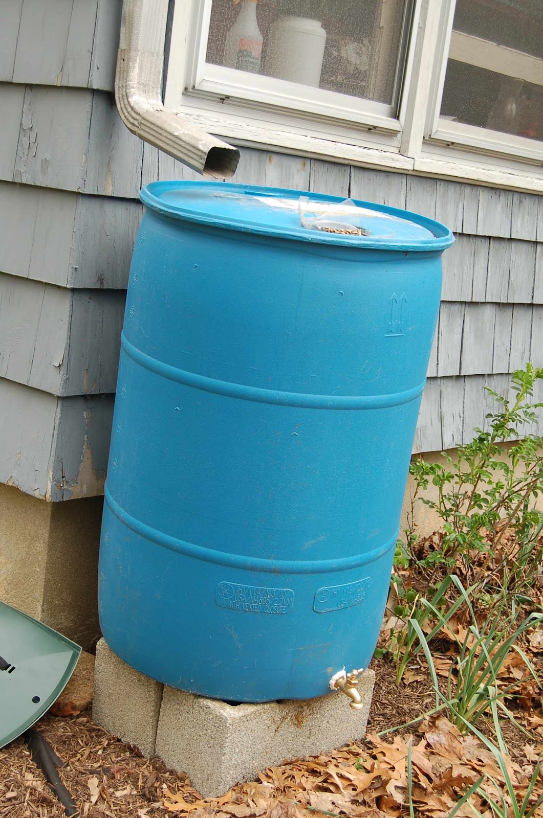 Starting a Permaculture Homestead: Rainwater barrel