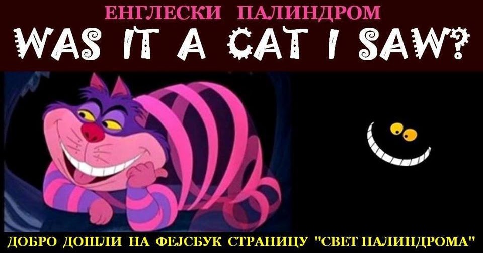 My cat is black my cat is fat. Мемы с кошками. It is. Анекдоты на английском языке. I see a cat.