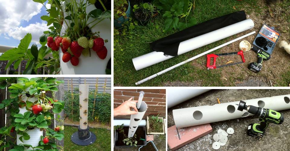 How To Make a Vertical Strawberry Tower From PVC Pipe Decor Units