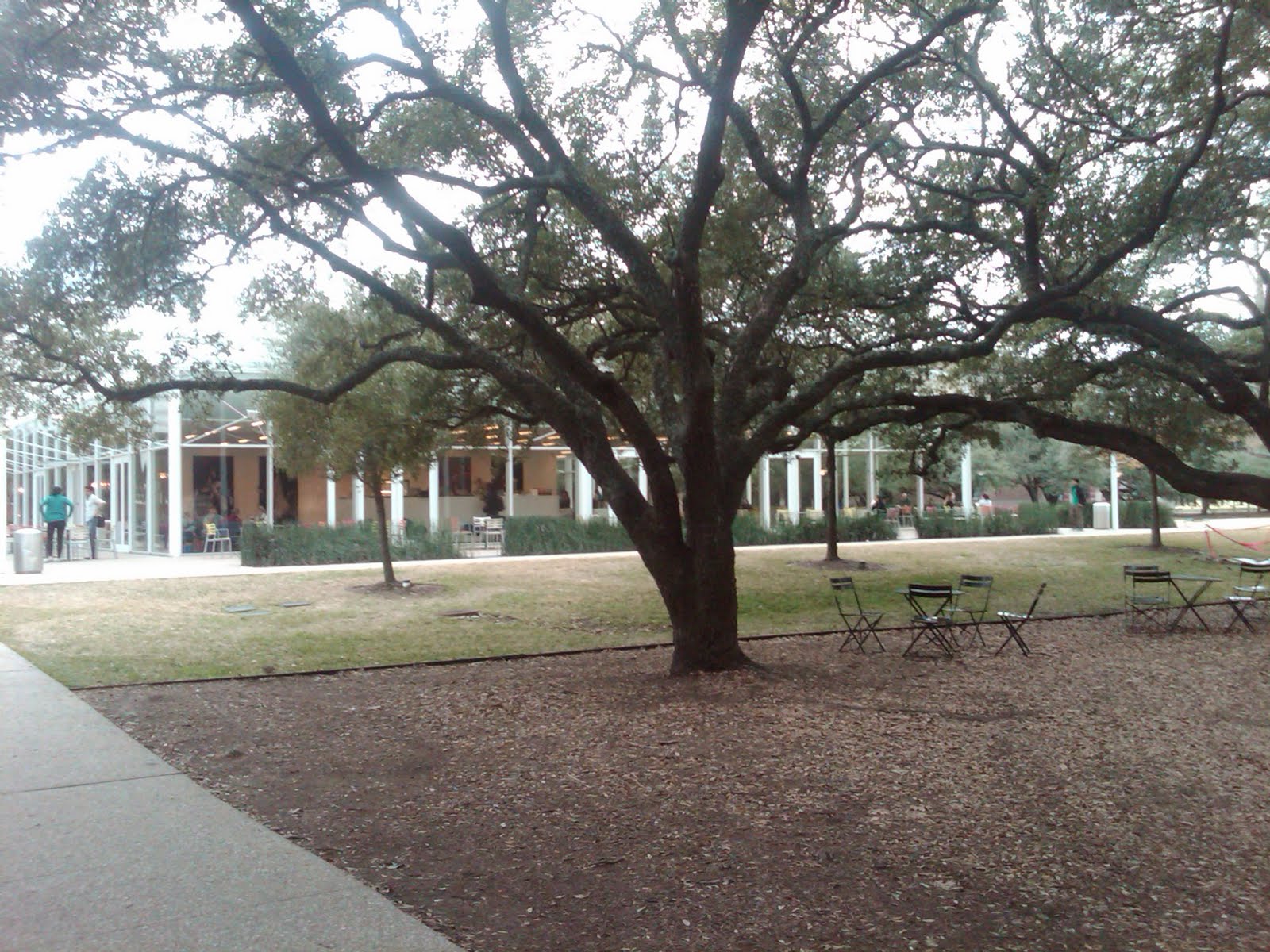 travels Rice University, Houston, Texas