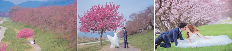 京都櫻花季海外自助婚紗台北攝影工作室