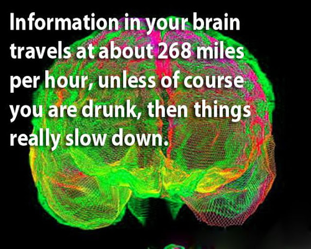 AMAZING FACTS ABOUT THE HUMAN MIND visual data 6