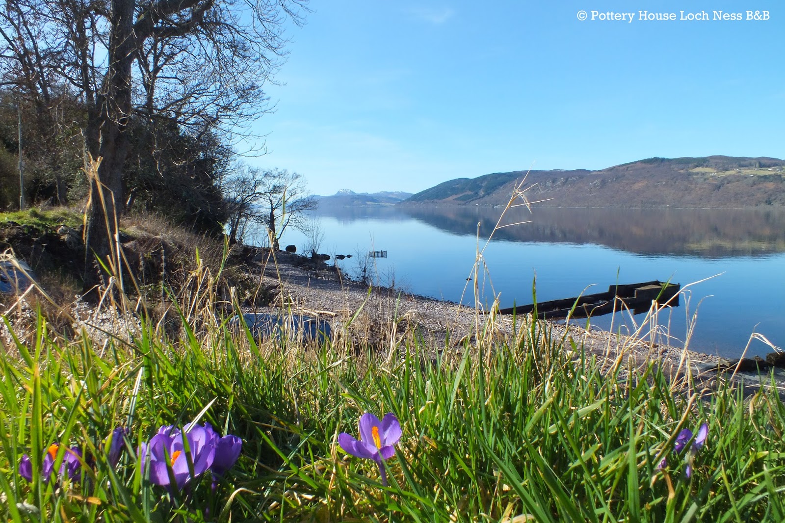 Beautiful Spring Morning On Loch Ness