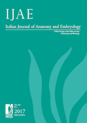 The Italian Journal of Anatomy and Embryology
