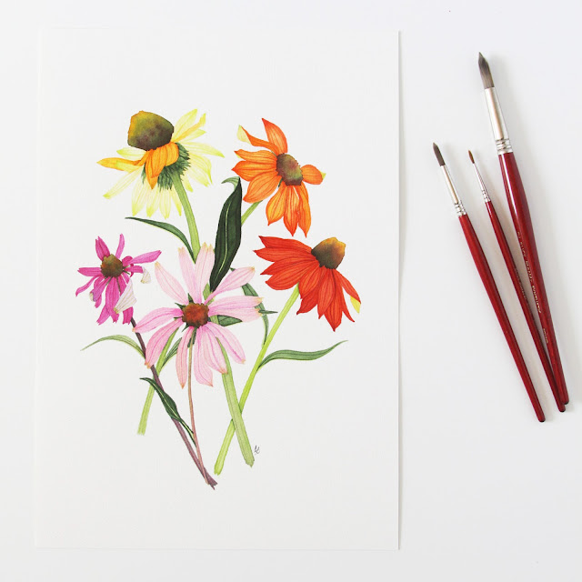coneflowers, watercolor coneflowers, echinacea, echinacea painting, floral watercolor, botanical illustration, botanical watercolor, Anne Butera, My Giant Strawberry